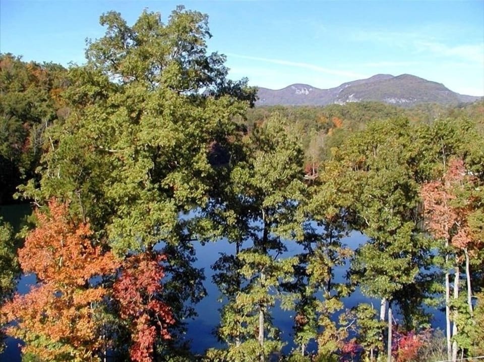 For view from the deck’s.