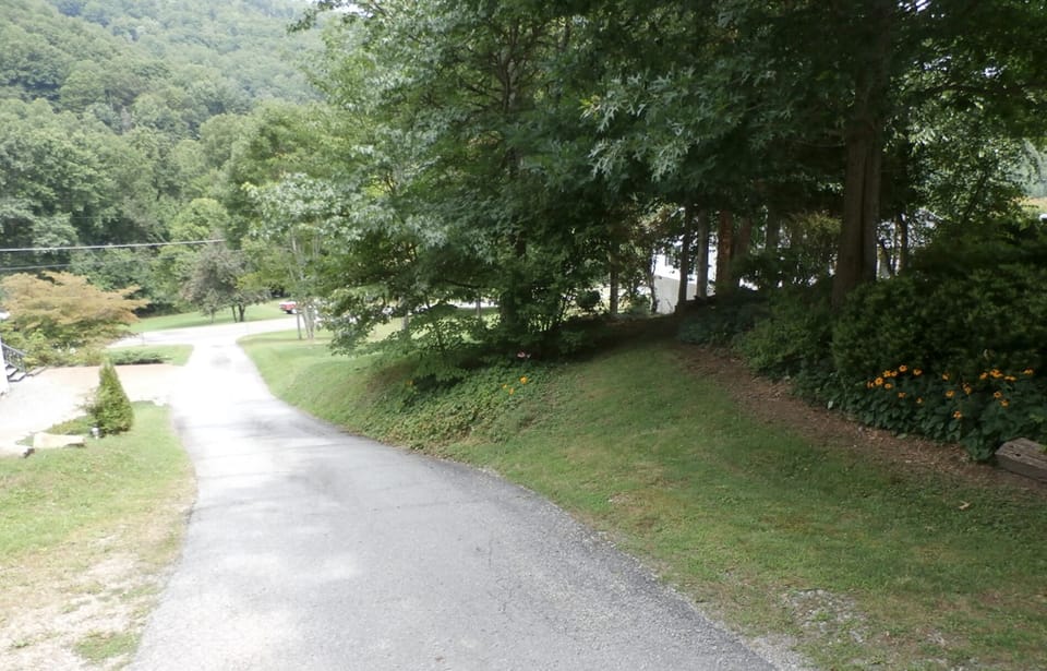 Driveway View