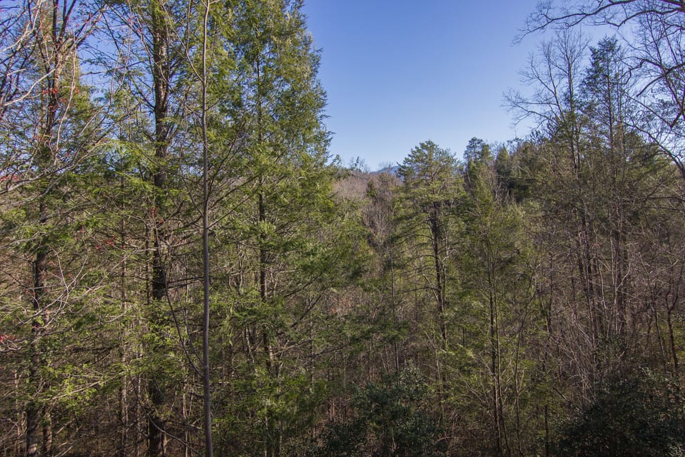 Spring view from the hot tub deck looking out toward Gatlinburg.  