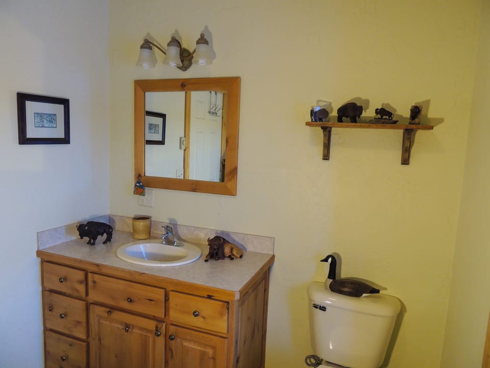 A Full Guest Bathroom- Where the Buffalo Roam