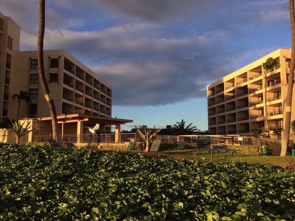 Sugar Beach Resort beach view of buildings.
