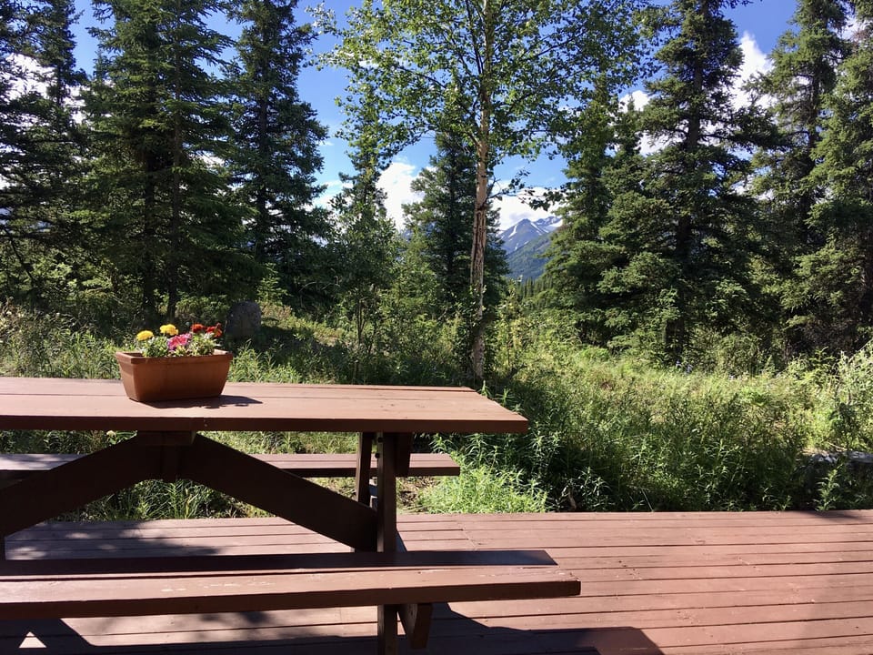 Perfect deck for picnic and BBQ.