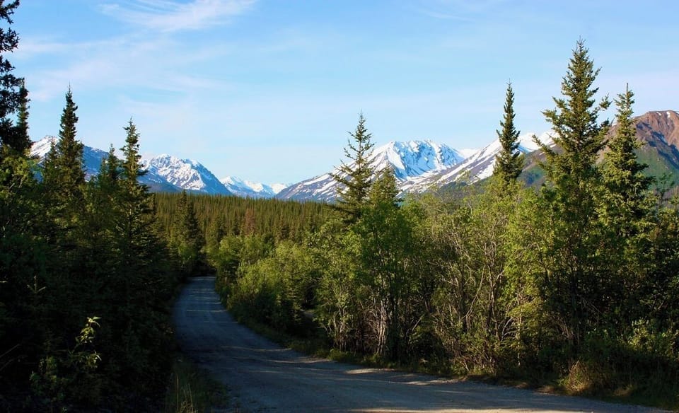 The road leading to the house. 
