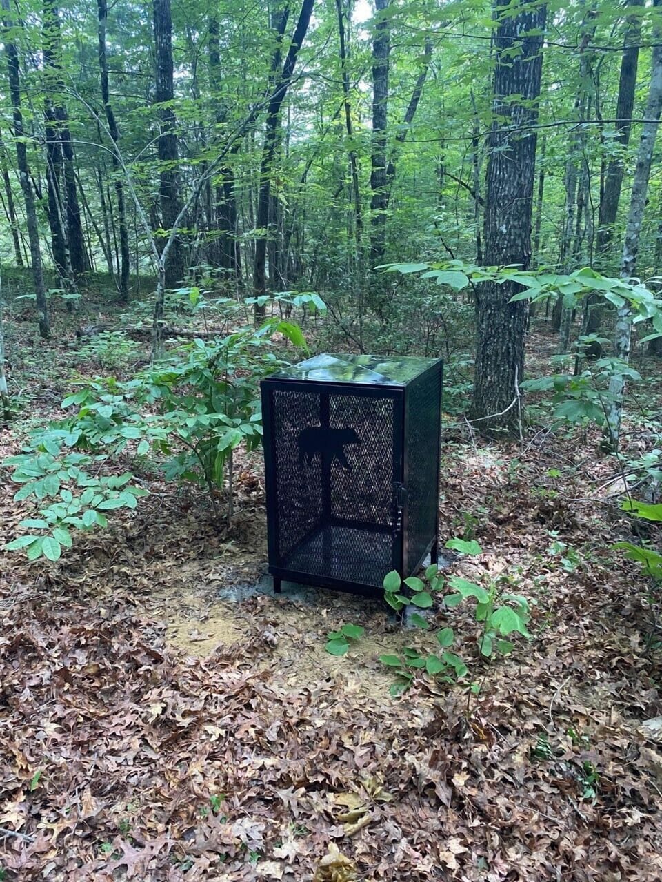 A new for 2021 is a bear proof garbage cage at the end of the parking pull out