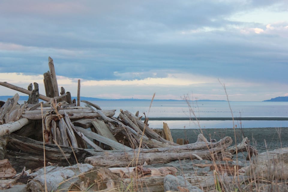 View of Seattle from the water's edge.