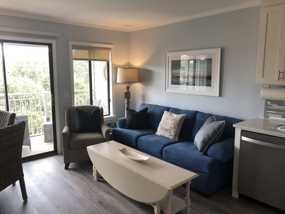 New furnishings in living room with large queen size pull out sofa bed