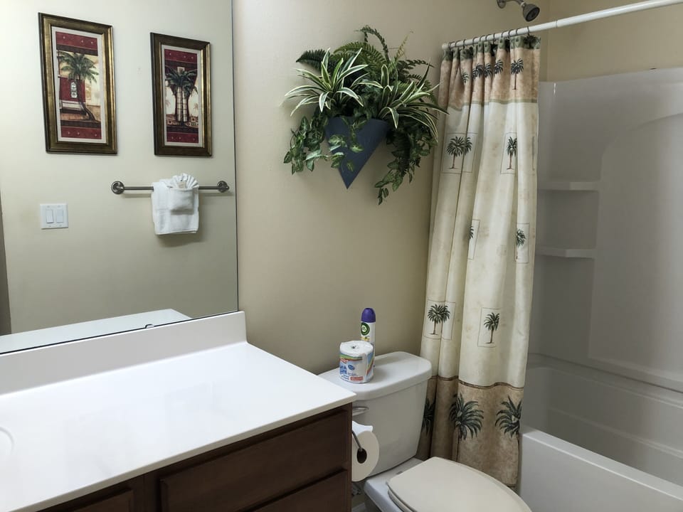 Our private master bathroom has plenty of counter space and a shower/tub!