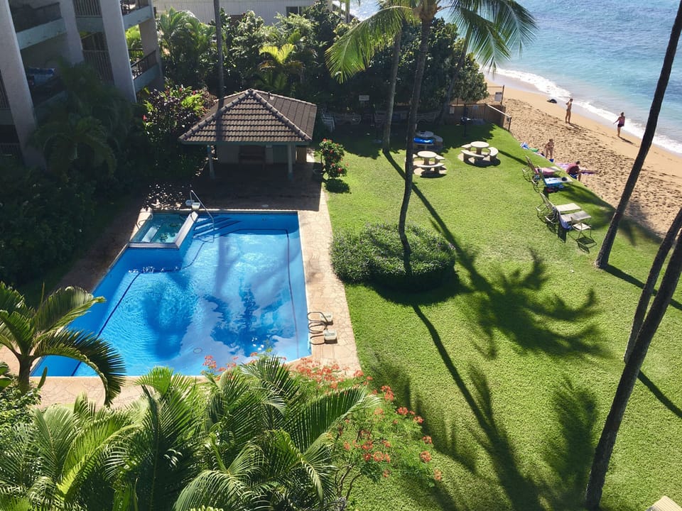 View of the pool and lawn below.  Look for the turtle on the beach!