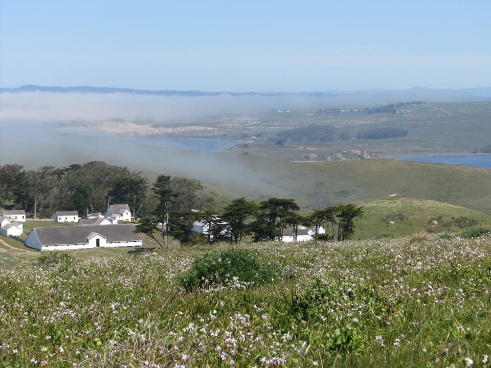 Hiking in nearby Pt Reyes 