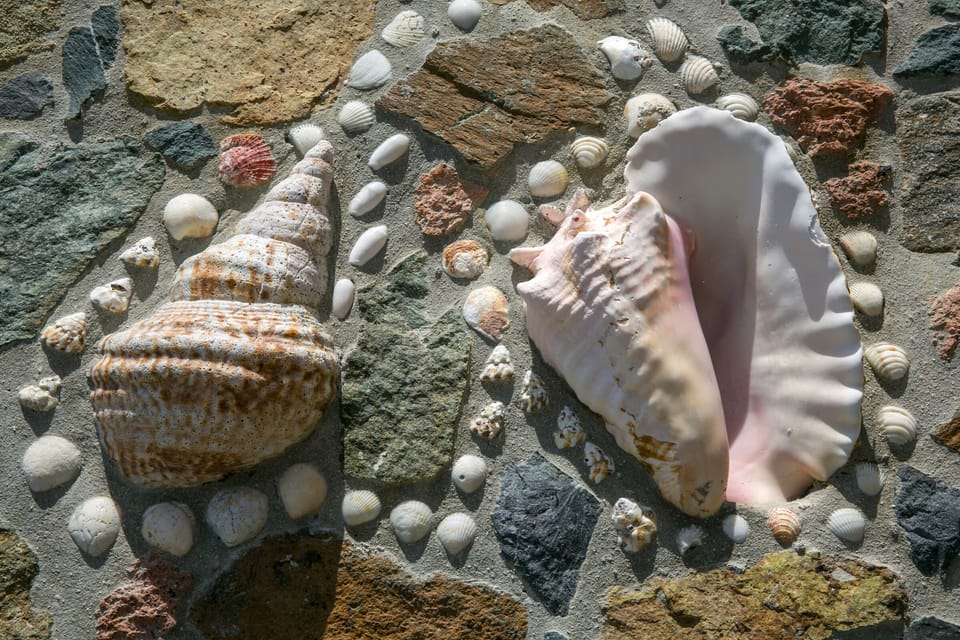 Bombalassy & Pink Conch Shells.