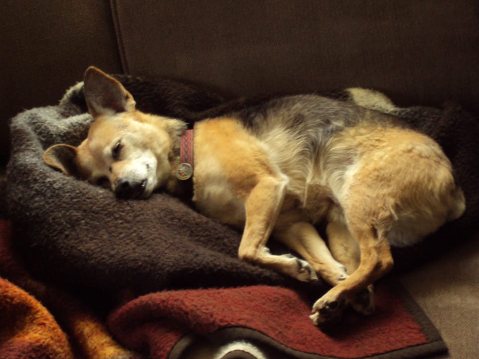 ....After the Party...I Love Sleeping at the Cottage!!'
