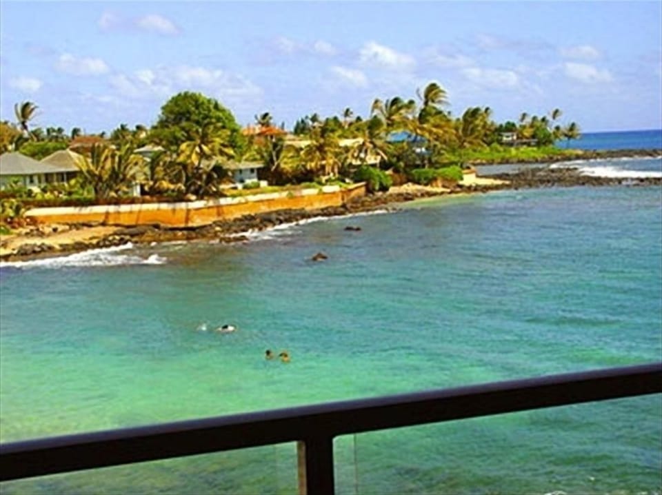 From our lanai, we can watch turtles feed and see whales in winter. 