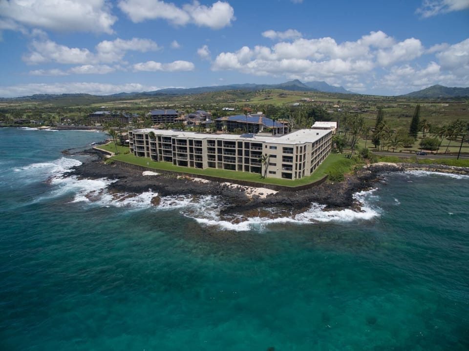 An ancient lava flow, Perfect reef/habitat for surfing, corals, fish & turtles. 