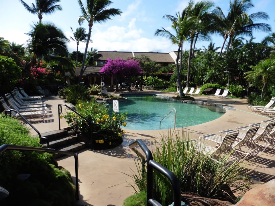 Tropical pool