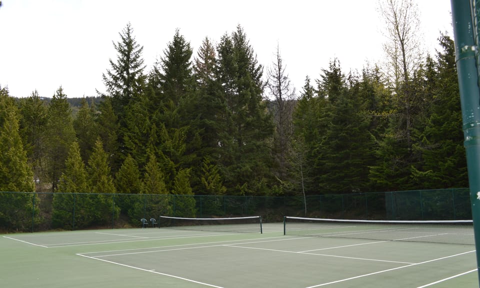 Tennis courts across the street.