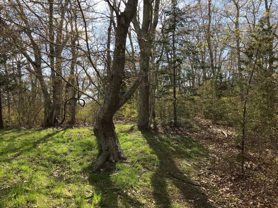 Private path to Lambert's Cove Beach