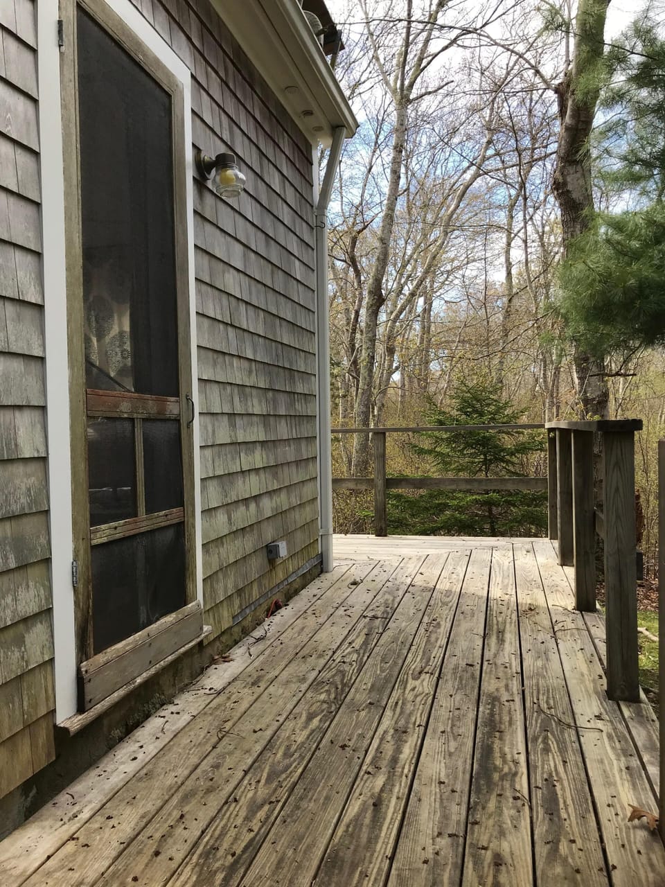 Back deck, view from outdoor shower, woods beyond