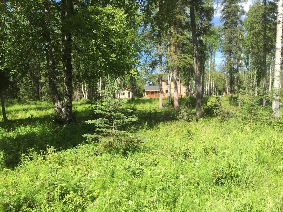 front area, view from the road
