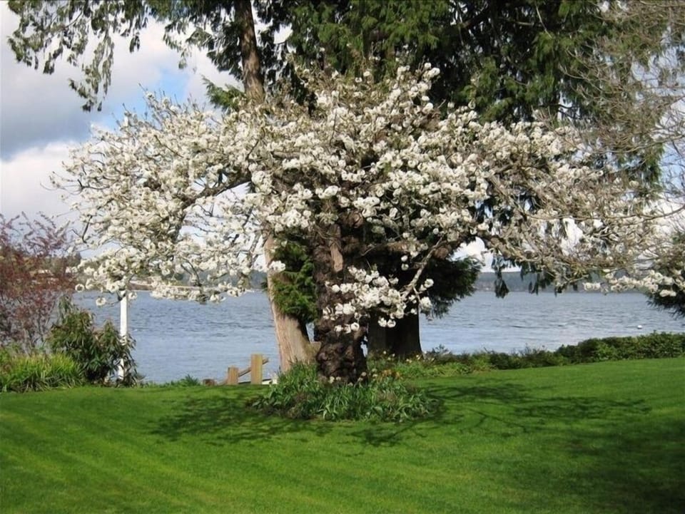 view to the north from the master bedroom