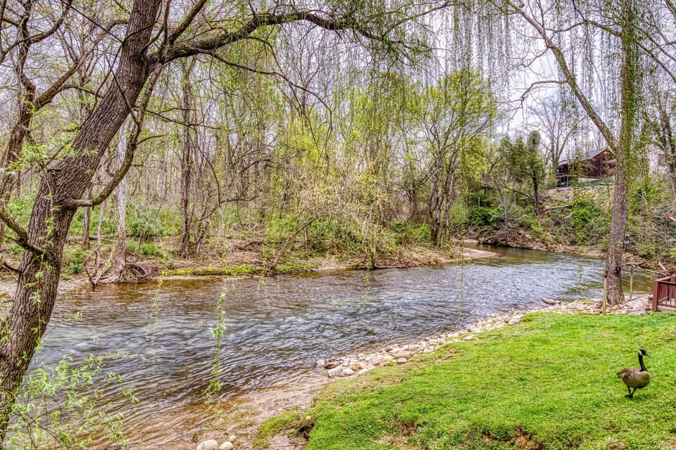 River Cottage in the Smokies "Henderson's Riverside #2" - On the shore of the Little Pigeon River