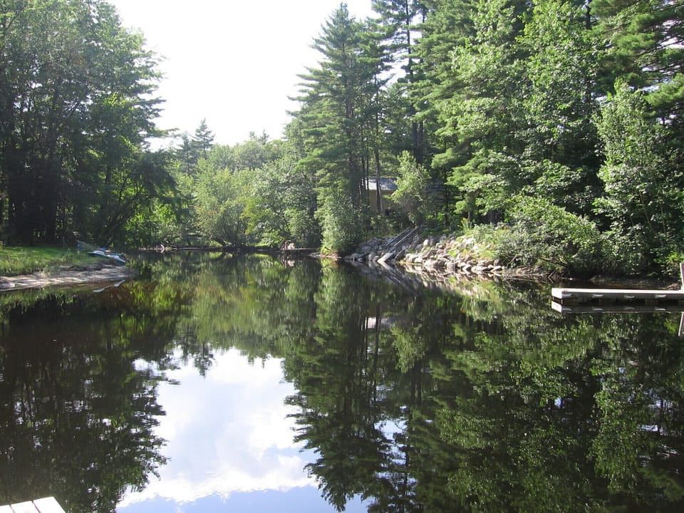 View of the river from the dock.