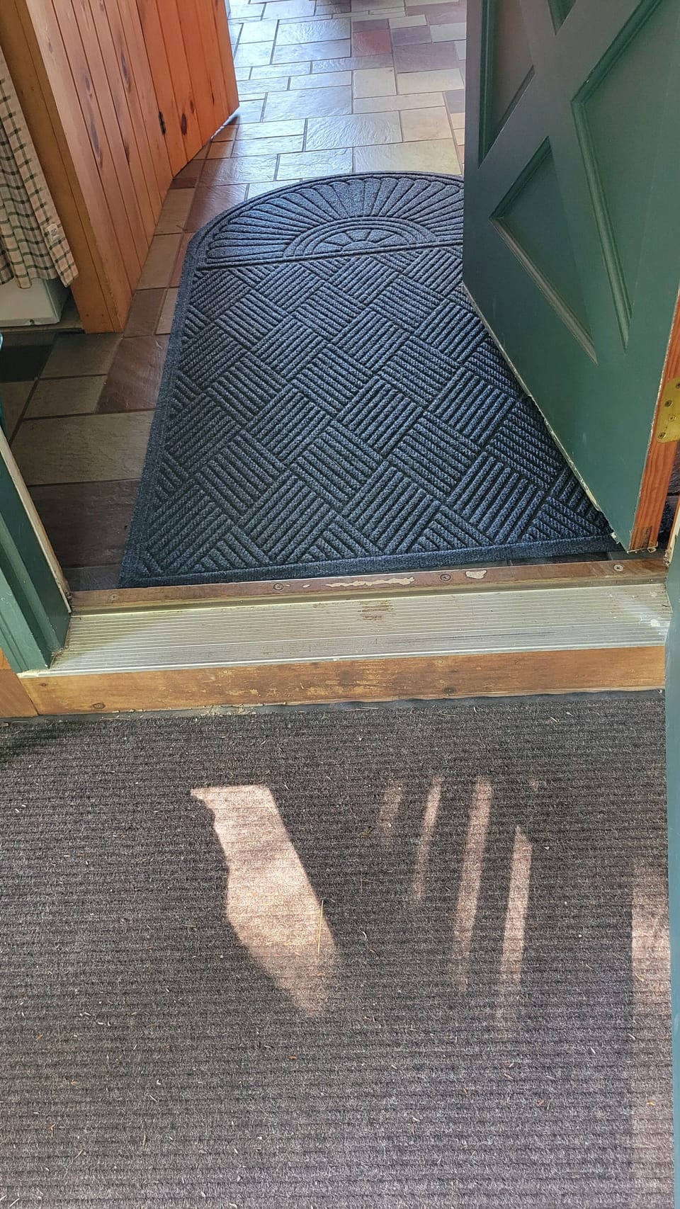 Rear Entrance Door Step
