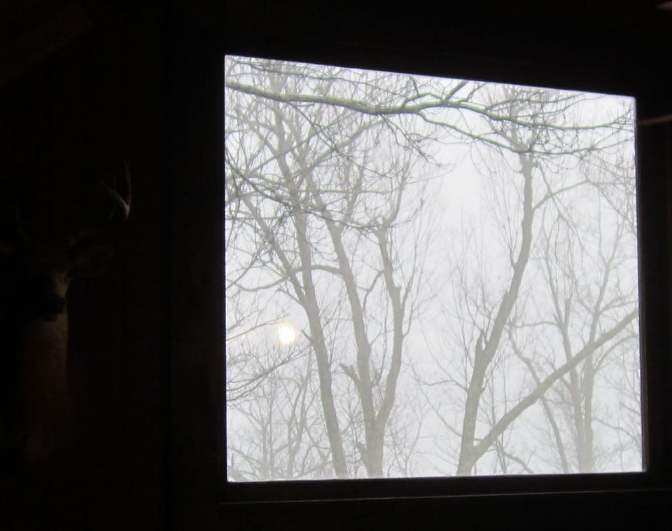 When bumming it in the cabin on a lazy day, it will be you, netflix, the deer and that awesome view.......