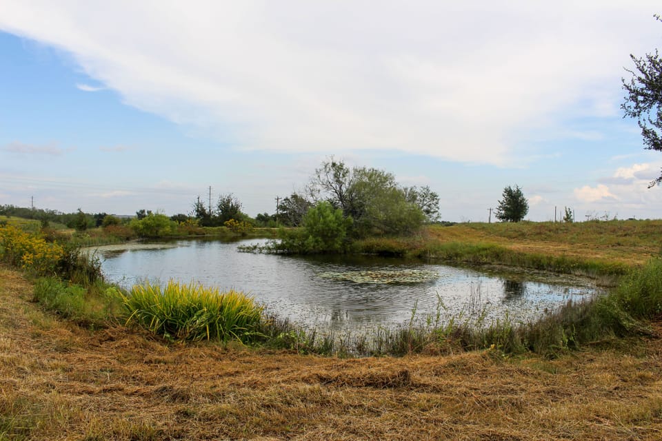 There are several ponds on the property visited by wildlife.