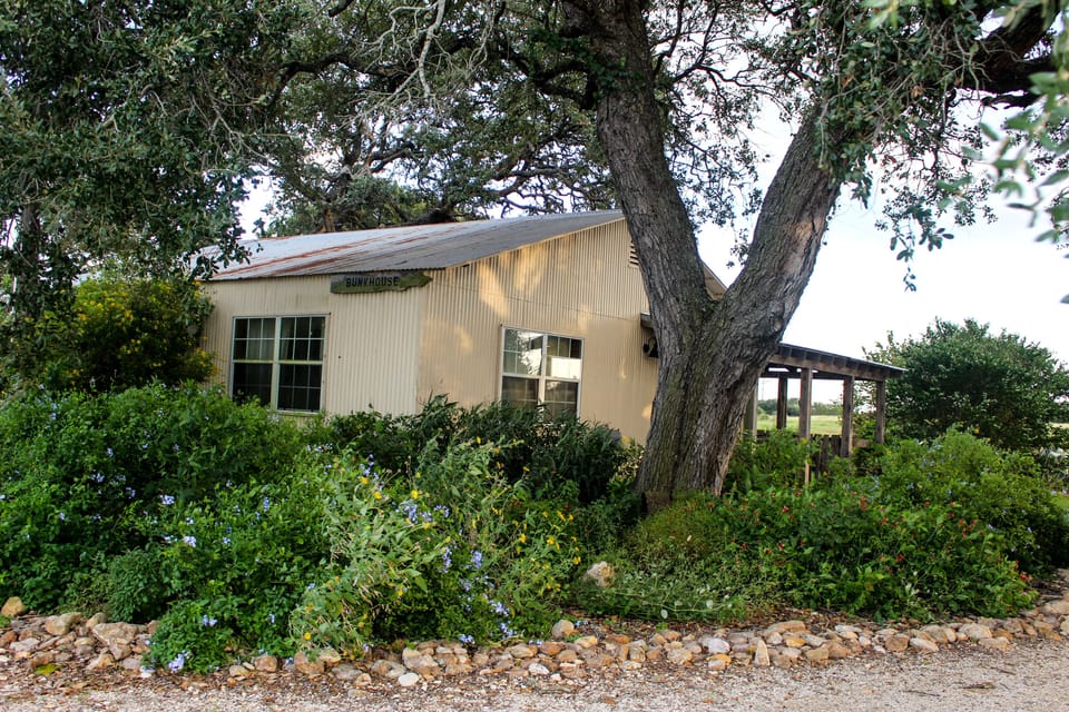 The Bunkhouse is nestled under 200-year-old live oaks.