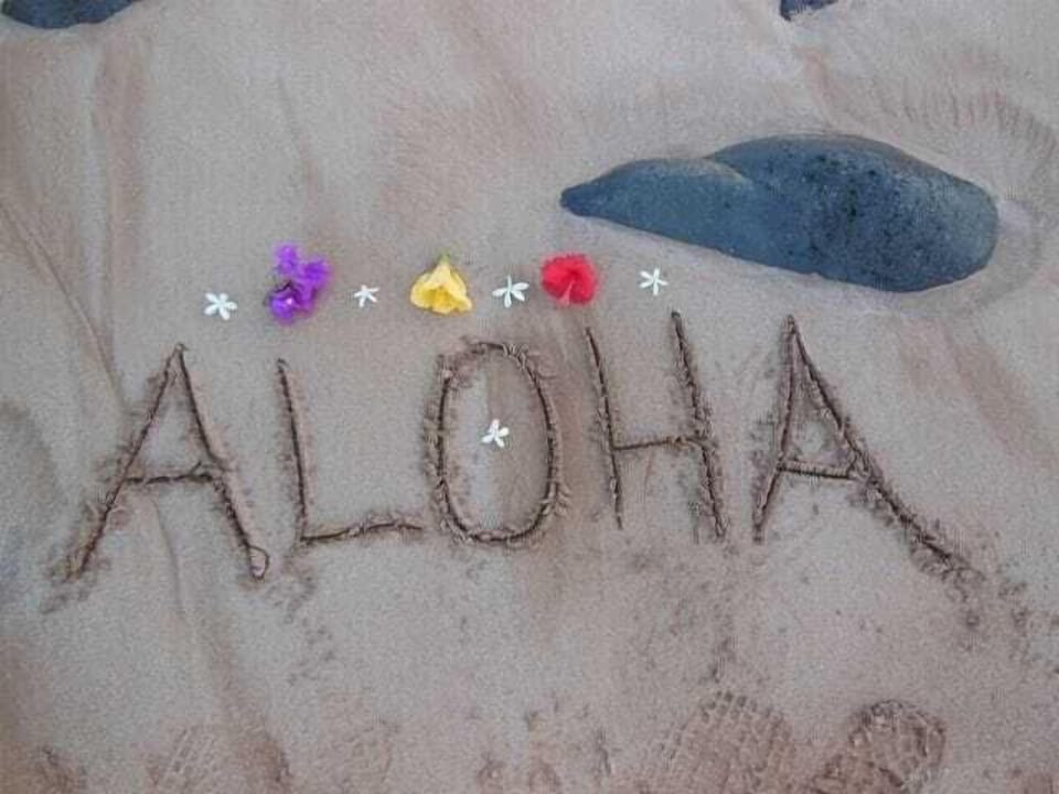 A photo from one of our guests.