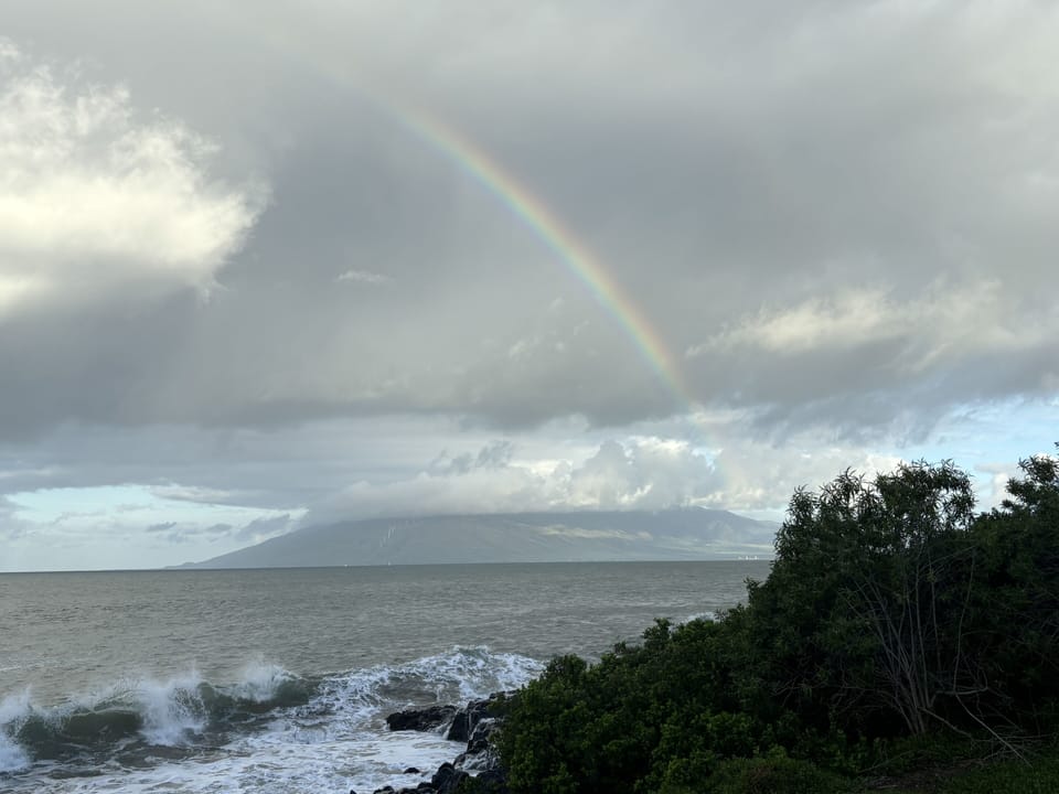 There's a reason they call UHawai'i teams The "Rainbow Warriors"!