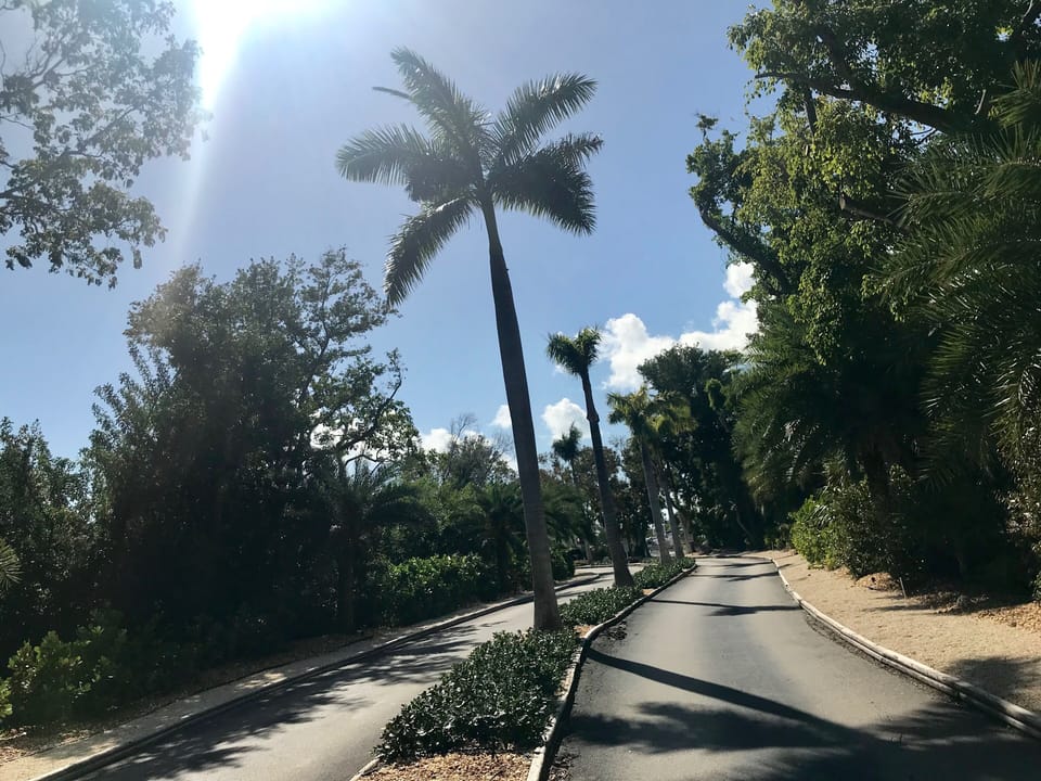 Driveway into the property