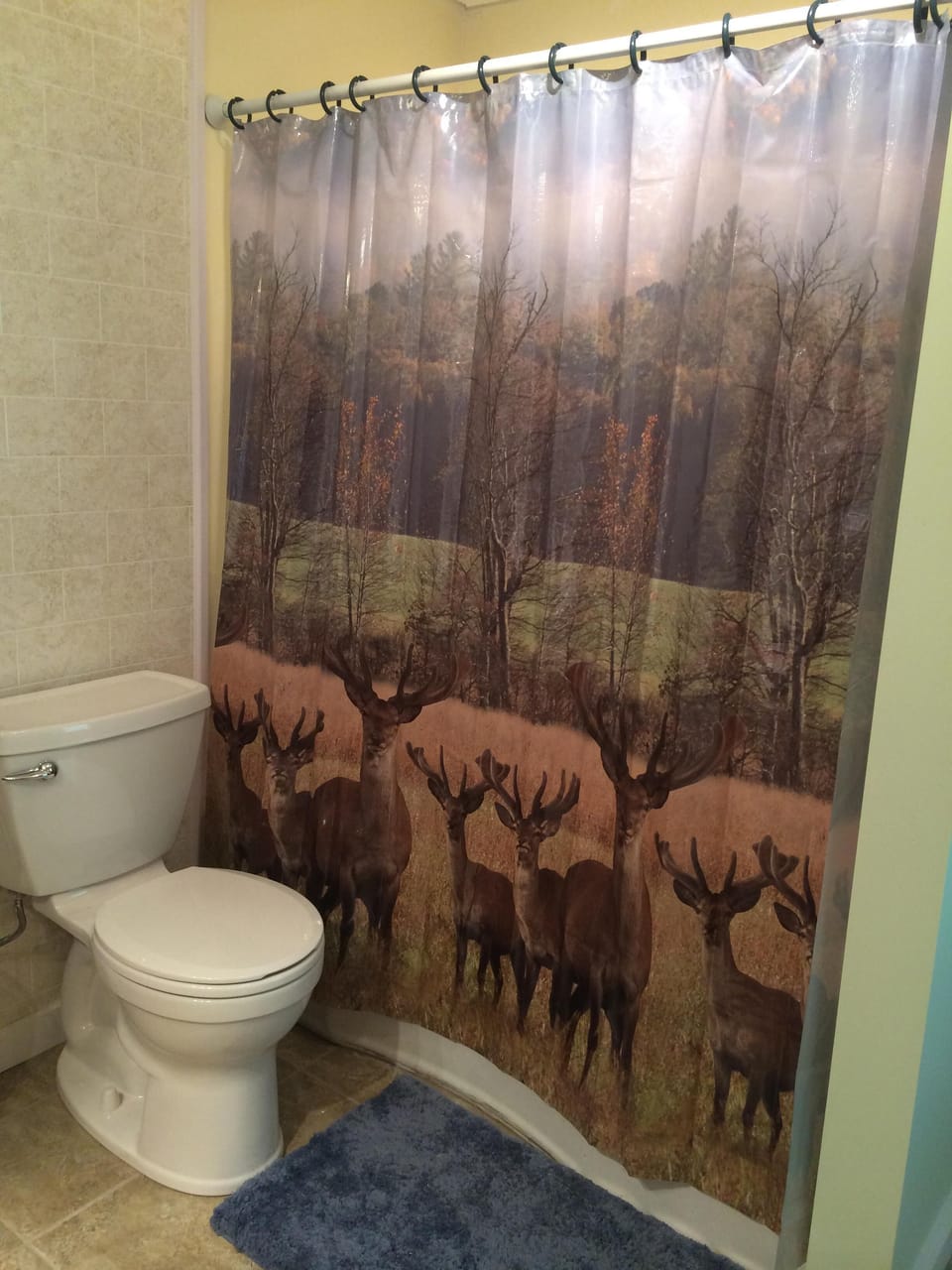 It has a bathtub/shower combination.