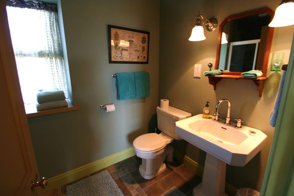 Guest bathroom (shower)