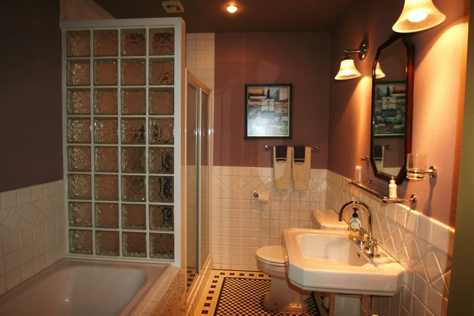 Master bathroom (shower & tub)