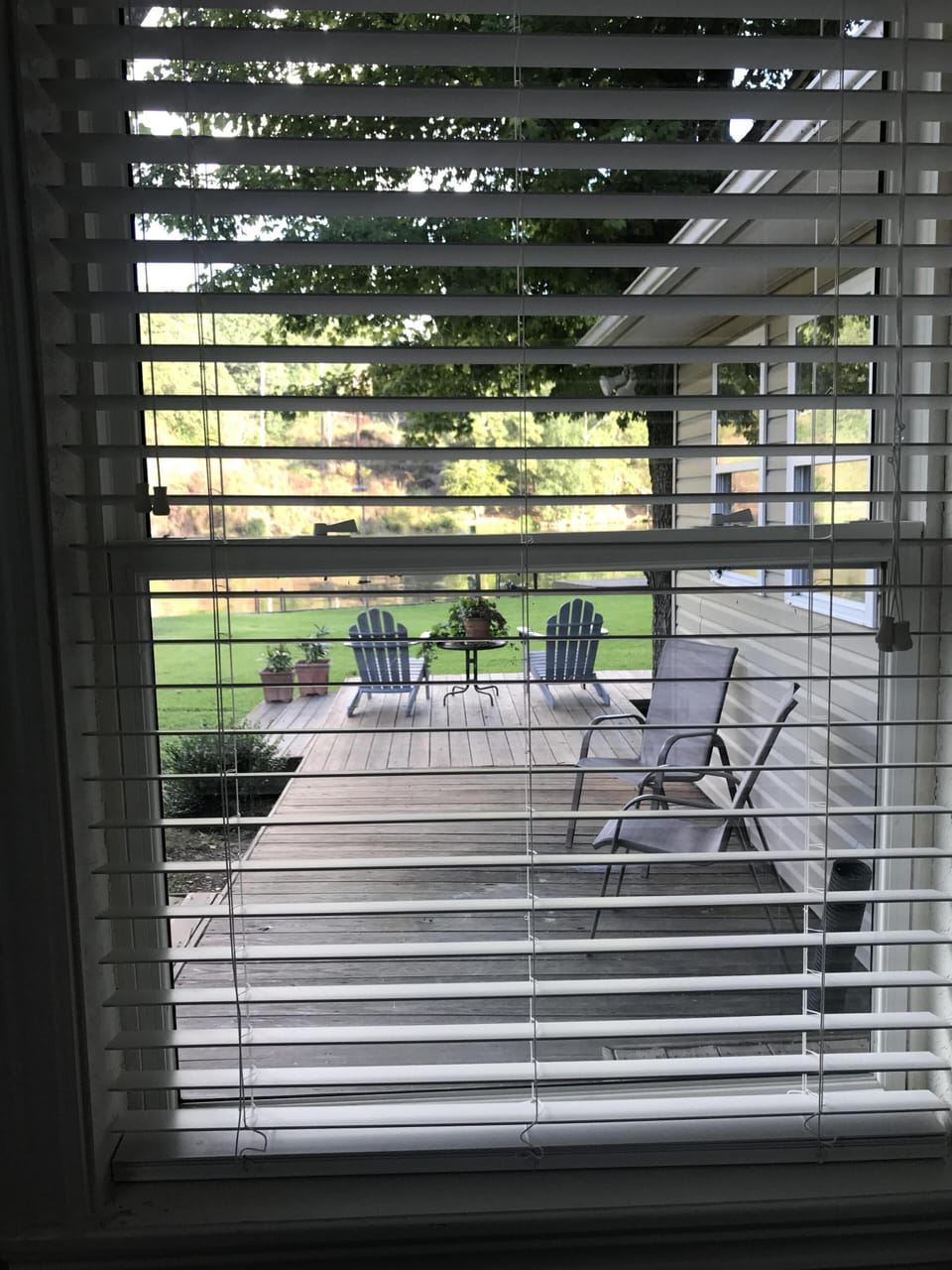 View from bedroom.