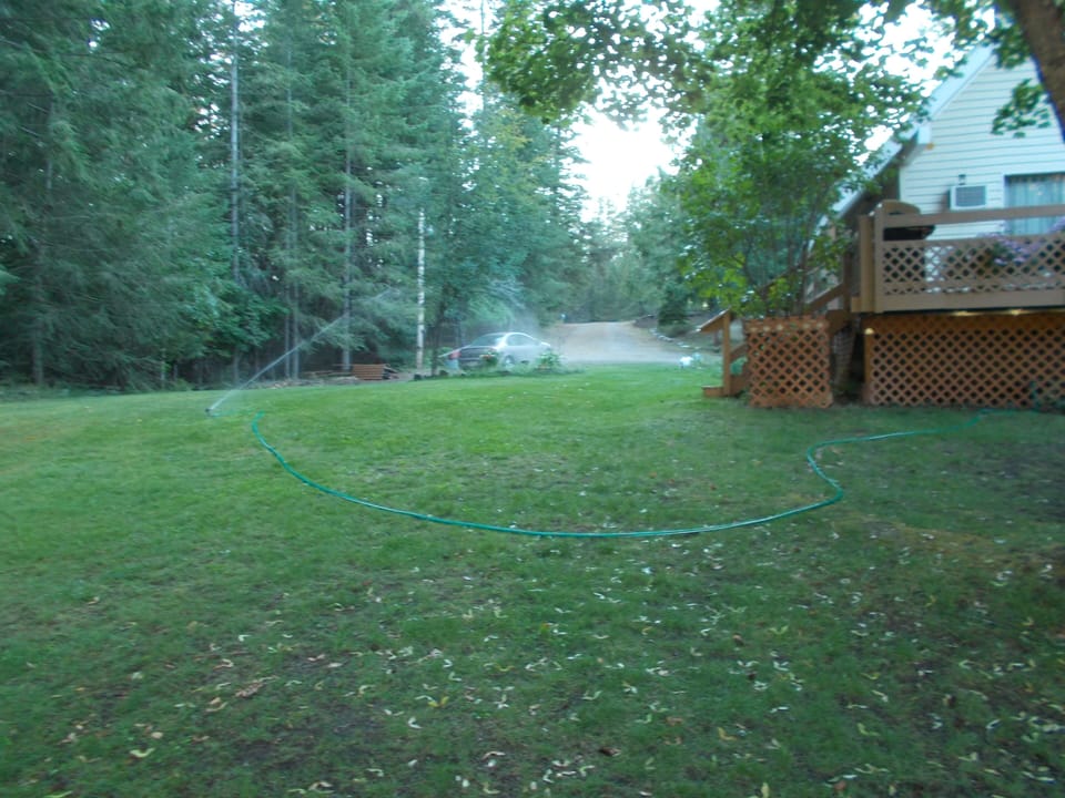 Looking up the hill from Savage Lake