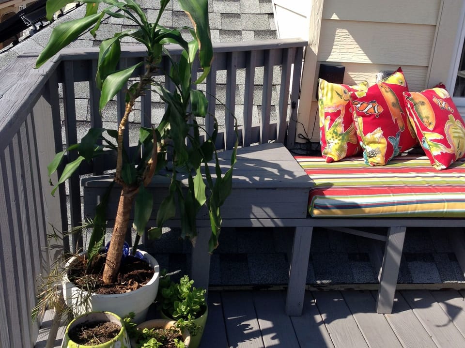 On the deck
