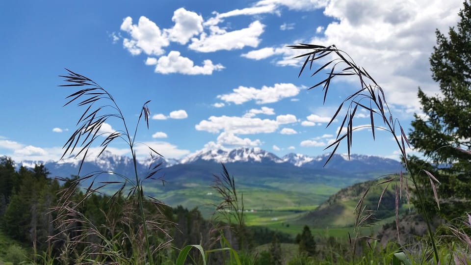 Nearby Ute Pass