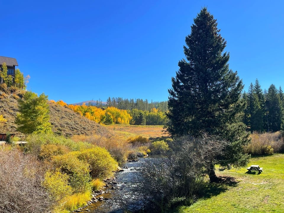 View from my balcony in the fall