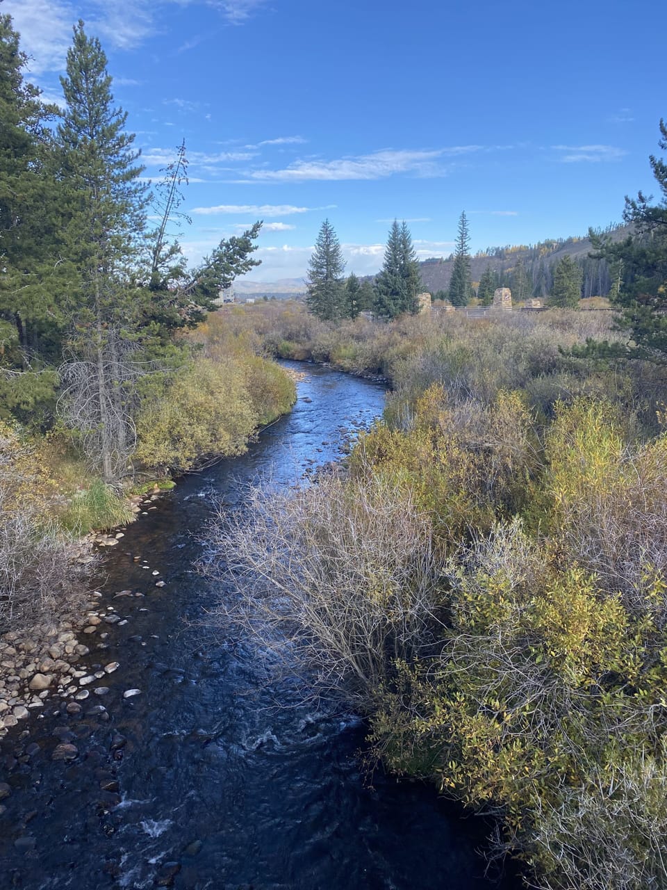 Views from the Frazier River Trail
