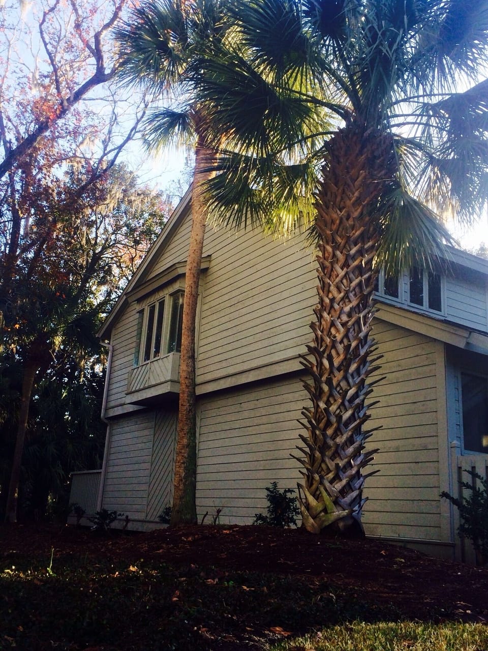 Bay window left side of town home. 