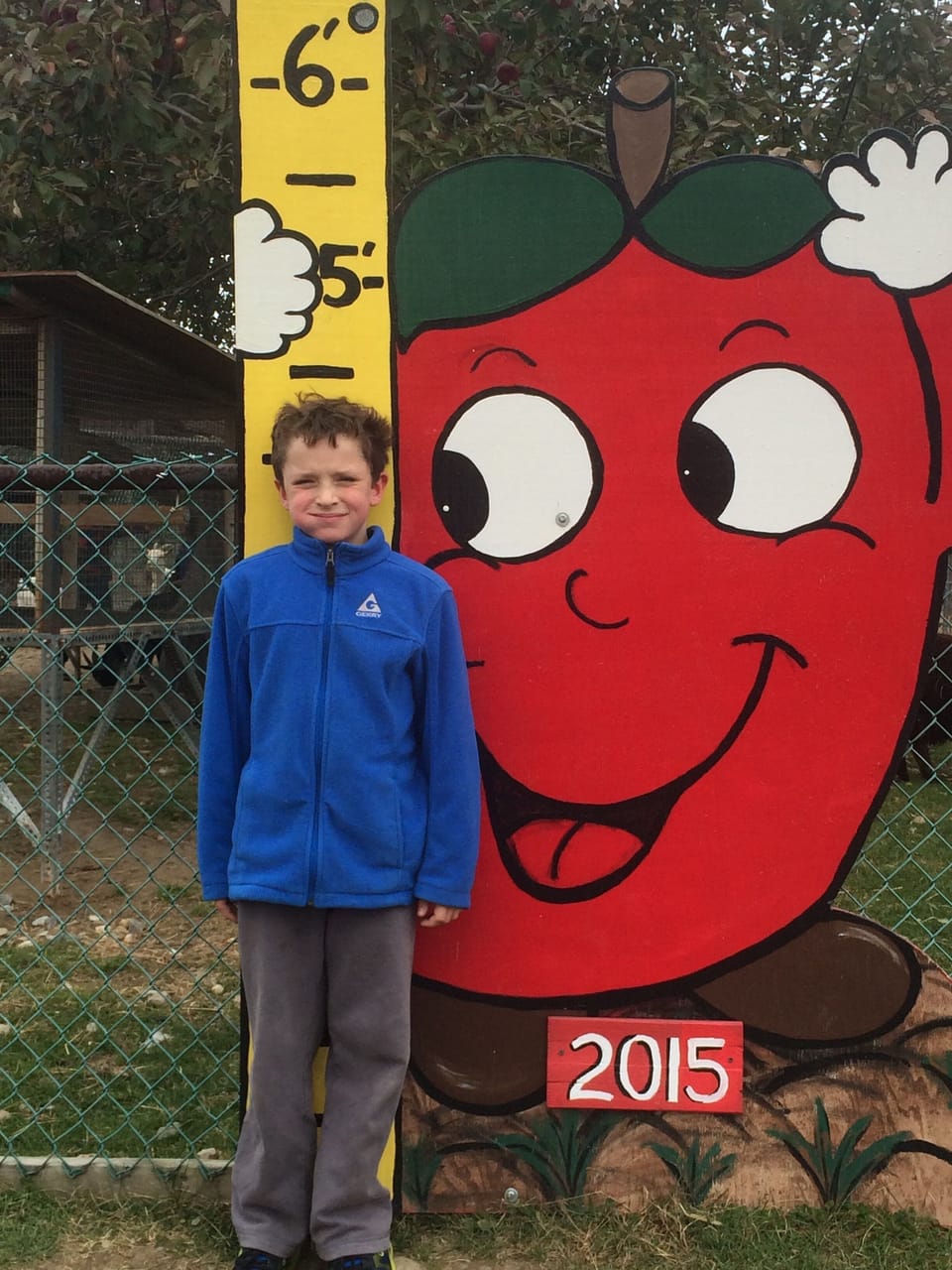 Go apple picking or visit the petting zoo at nearby Wellwood Orchards