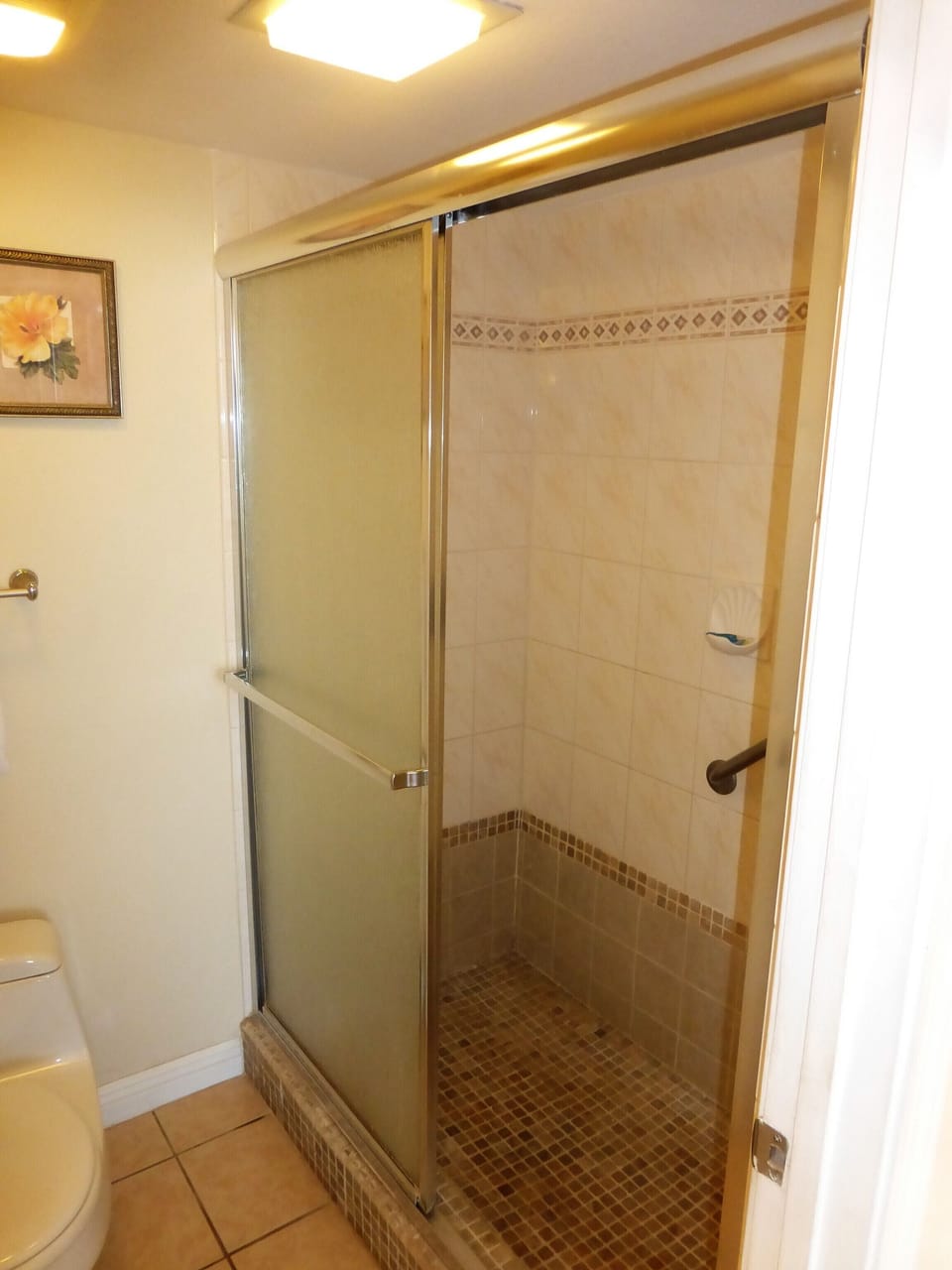 WALK-IN SHOWER