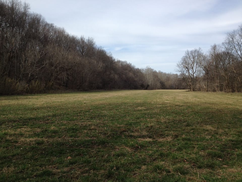 The bottom, Spring 2018