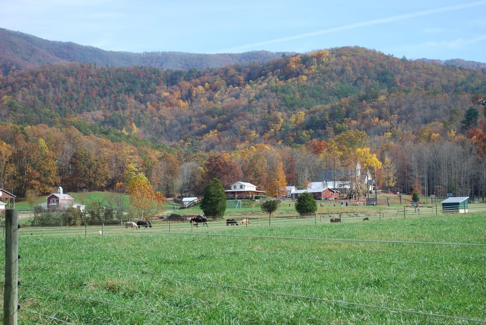 Fall brings out amazing colors in these mountains