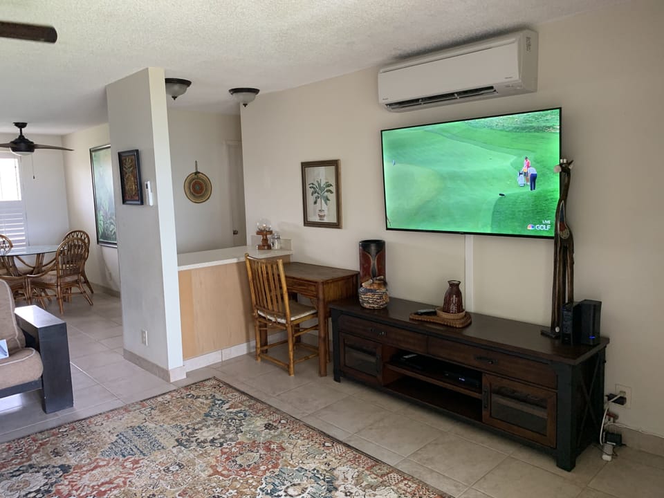 Roomy living room, Entertainment, Desk, 2 Dbl Futons, Lounger + AC