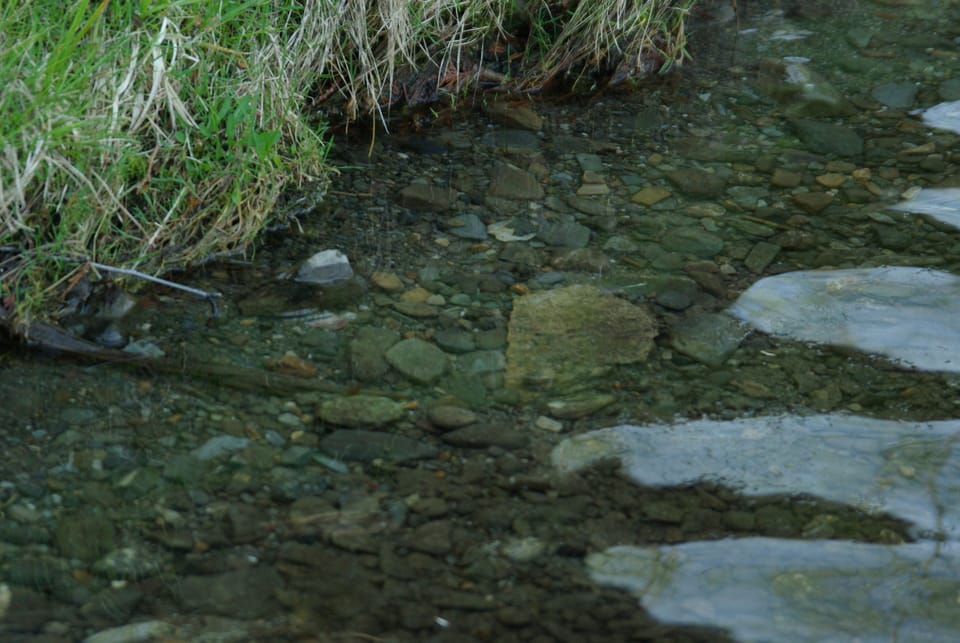 Super clean water at kid friendly depth
