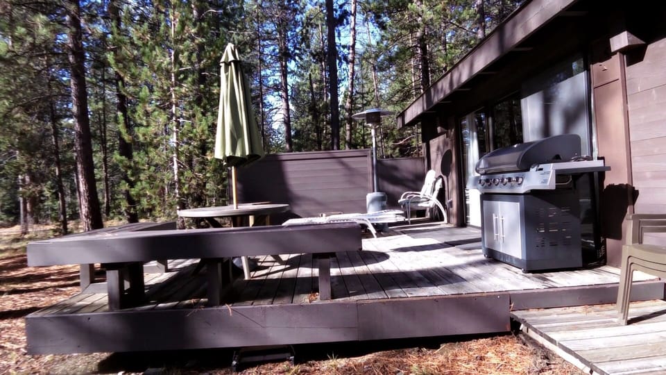 Sunny back deck.