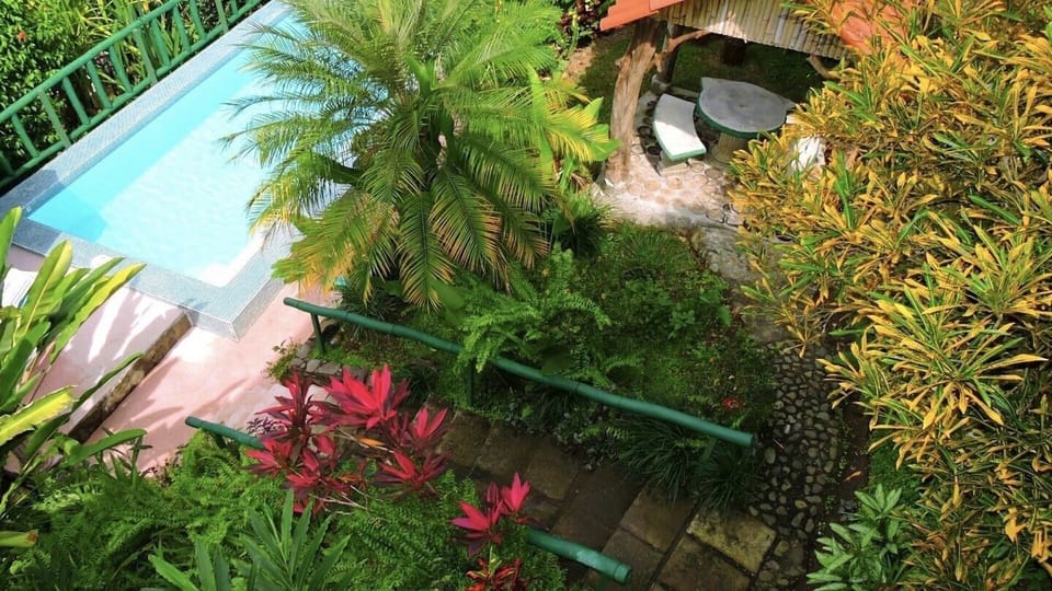Pool area surrounded by lush vegetation from upper deck 
